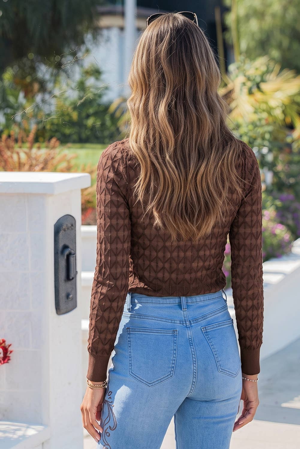 Coffee Sheer Lace Texture Top
