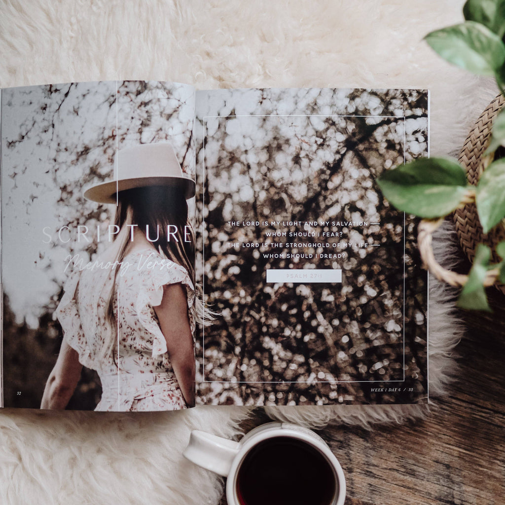 When Fear Meets Faith Bible Study