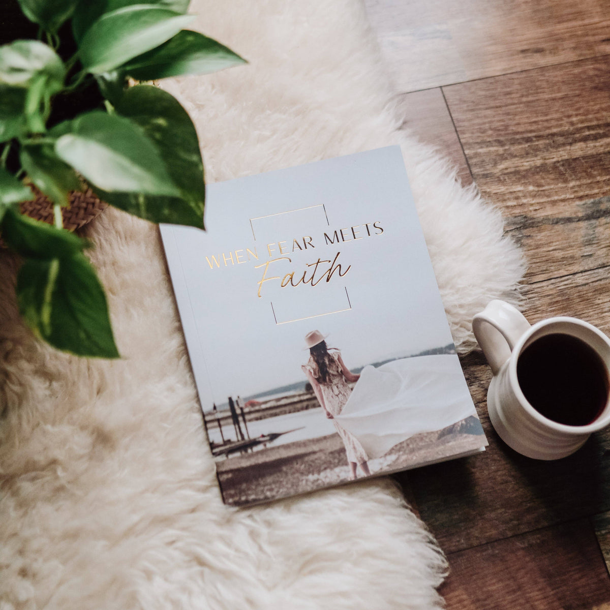 When Fear Meets Faith Bible Study