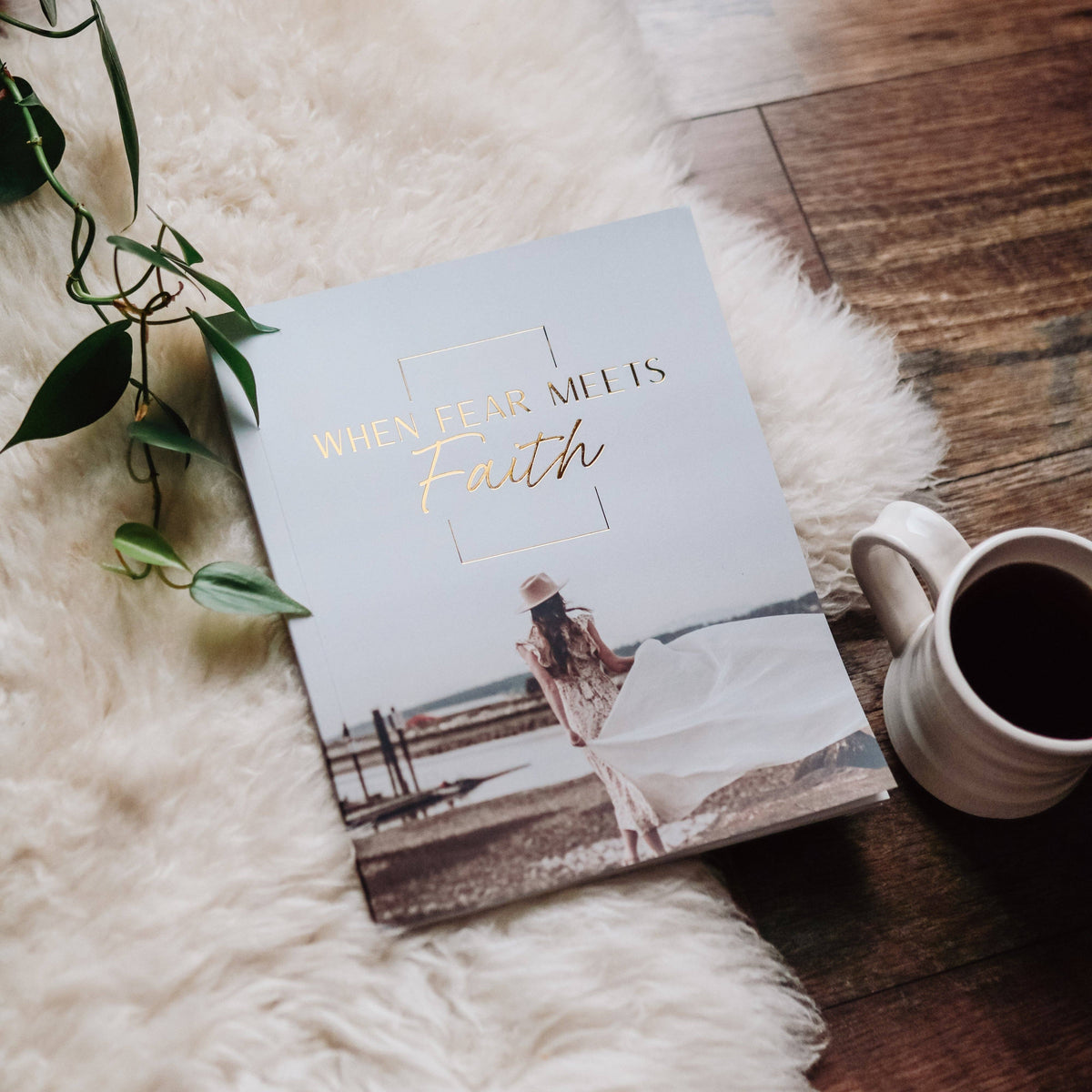 When Fear Meets Faith Bible Study