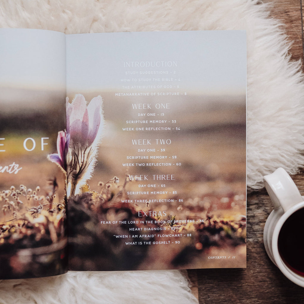 When Fear Meets Faith Bible Study